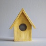 Bird house Saturday.JPG